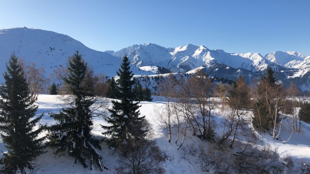 Projet La Sarenne - Alpes d'Huez - ROUX OEUVRE MAITRISE