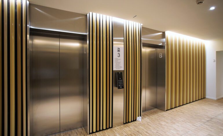 20190902_ROM_TOURALTAIS_©EliseRobagliaIMG_8978 (1)