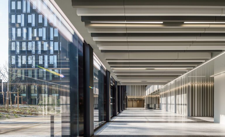 (c)Stefan_Tuchila_078_A7_0955 (1)