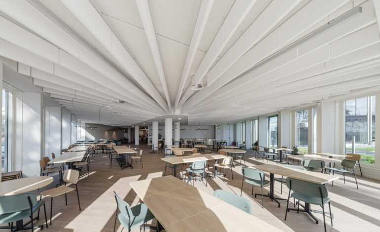 (c)Stefan_Tuchila_Network_057_K1_4342 (1)