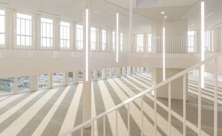 (c)Stefan_Tuchila_Network_080_K1_3791 (1)