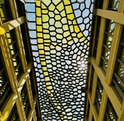 d08806b8-477e-4aa5-8408-3c3fa55109ee